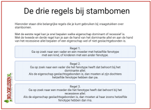 Drie regels bij stambomen