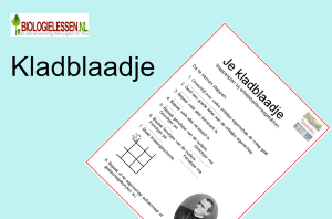 Kladblaadje