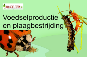 Plaagbestrijding mavo