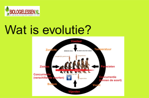 Wat is evolutie