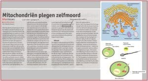 Mitochondrienplegenzelfmoord