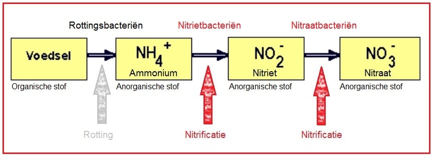 BacterieNitrificatie