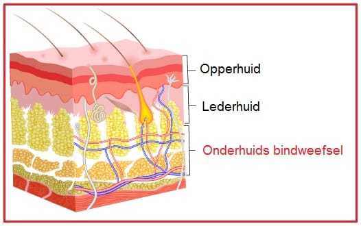 Bindweefselonderhuids