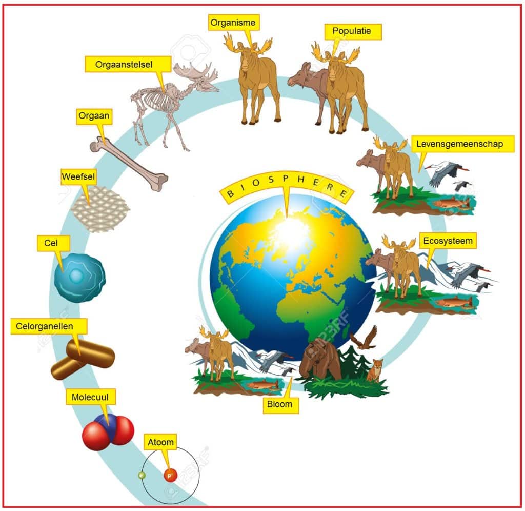 Biologische eenheden 1 Biologischeeenheden
