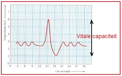 CapaciteitVitale