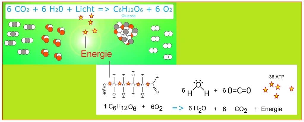 Chemische energie 1 Chemischeenergie