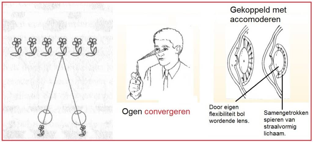 Convergeren 3 Convergeren