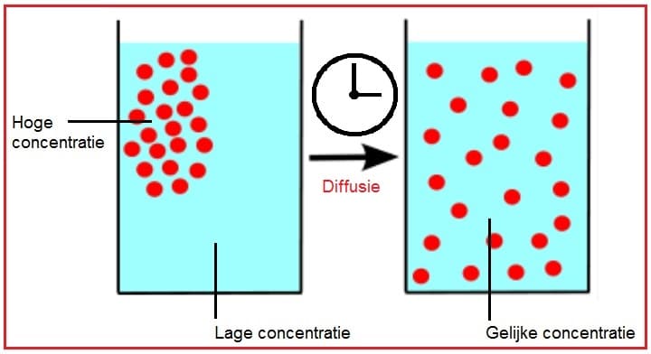 Diffusie - Biologielessen.nl