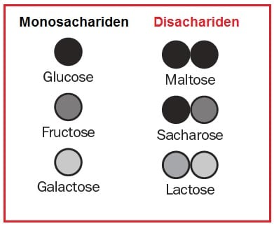 Disachariden