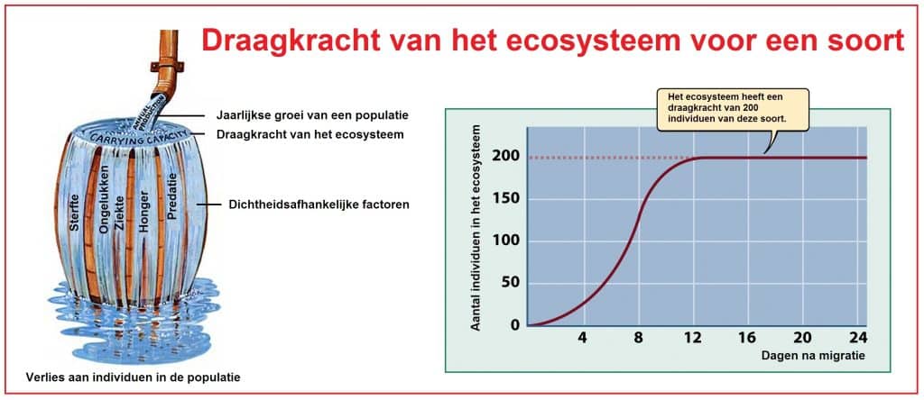 Geboortecijfer 9 Draagkracht
