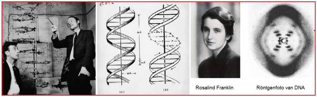Helixstructuur 14 Dubbelehelix