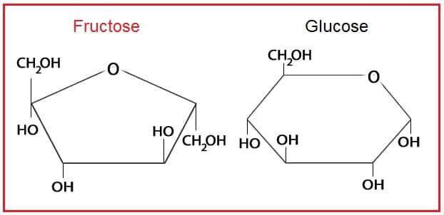 Fructose