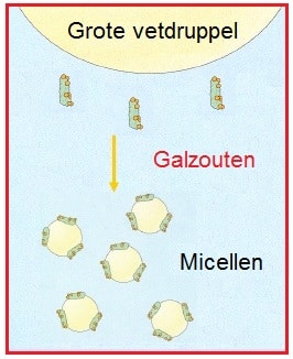 Galzouten