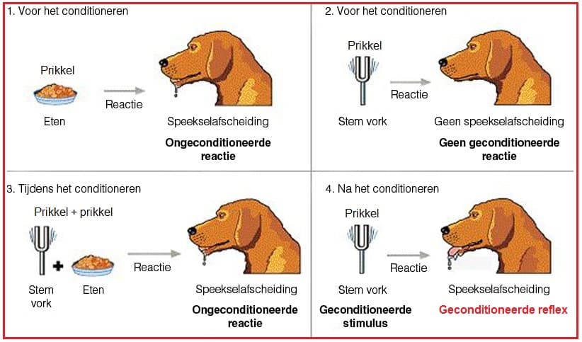 GeConditioneren