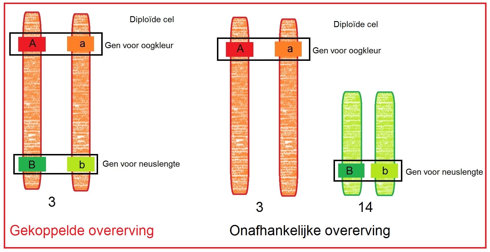 Gekoppeldeovererving