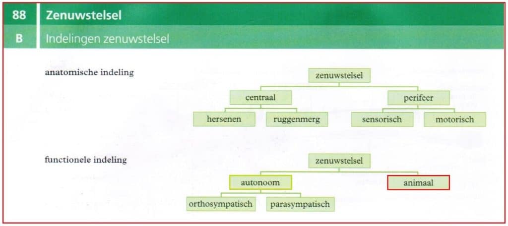 Gewilde bewegingen 3 Gewildebeweging