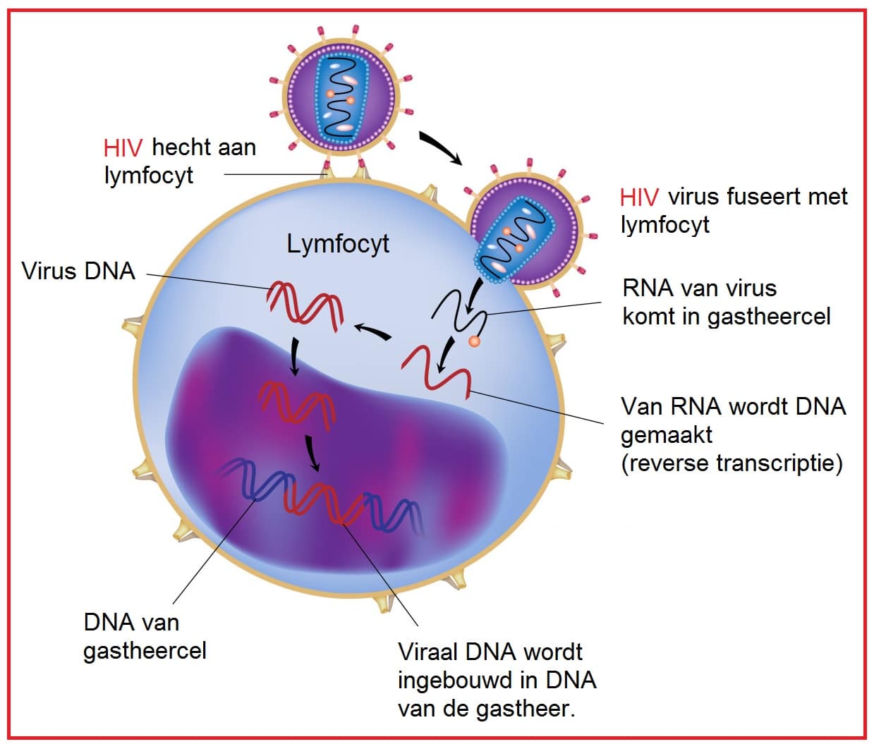 HIV