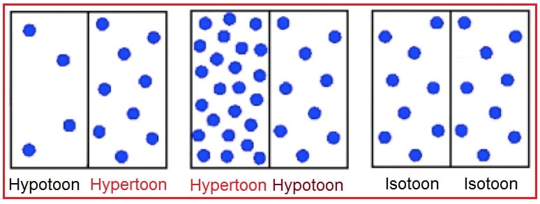 Hypertoon