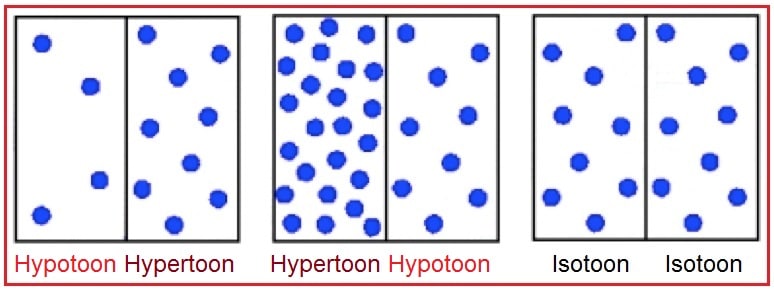 Hypotoon