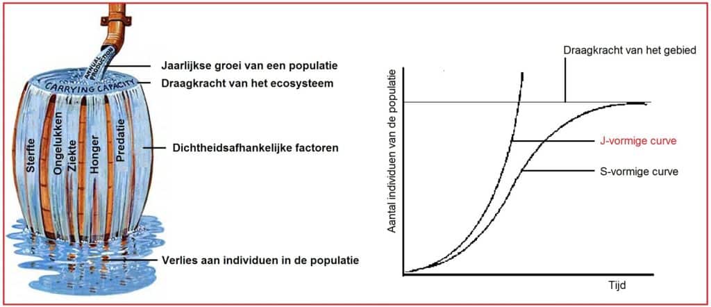J-vormige groeicurve 9 Jvormigecurve
