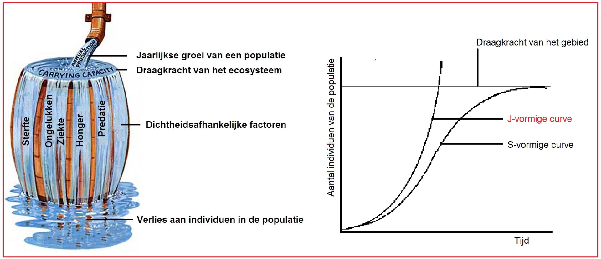 Jvormigecurve