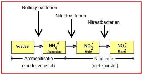 Nitrificatie