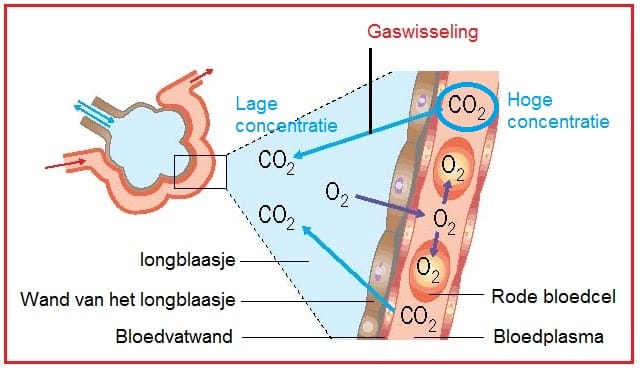 gaswisseling