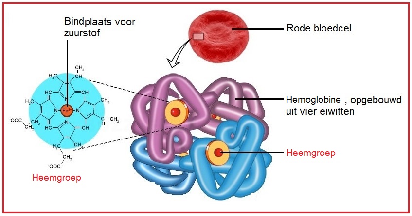 heemgroep