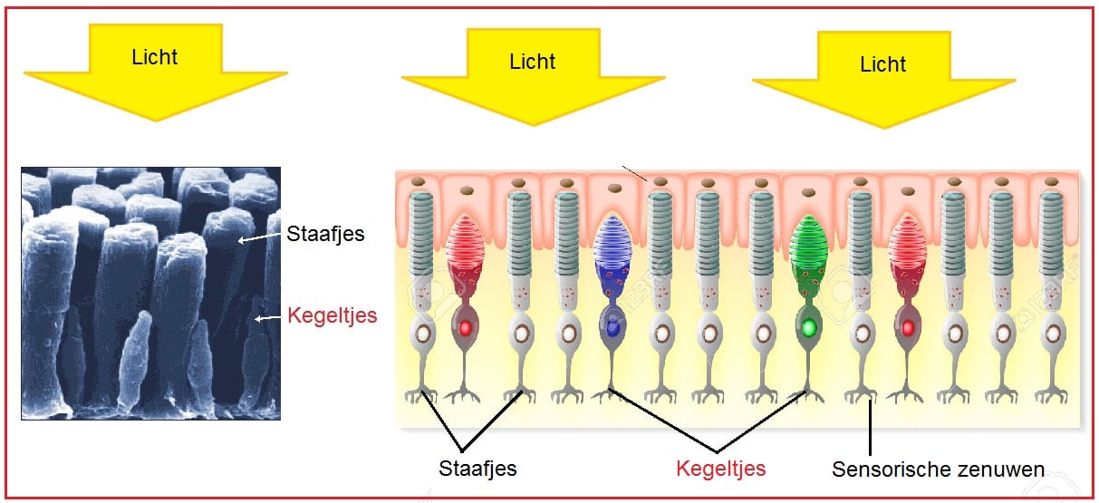 Kegeltjes