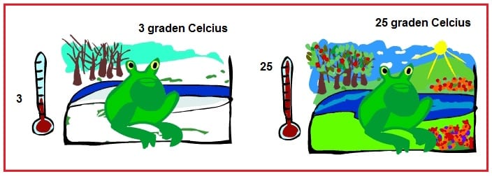 Koudbloedig Biologielessen nl