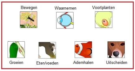 Levensverschijnselen