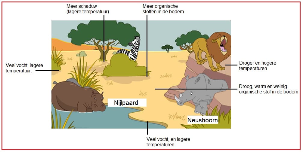 Macroklimaat