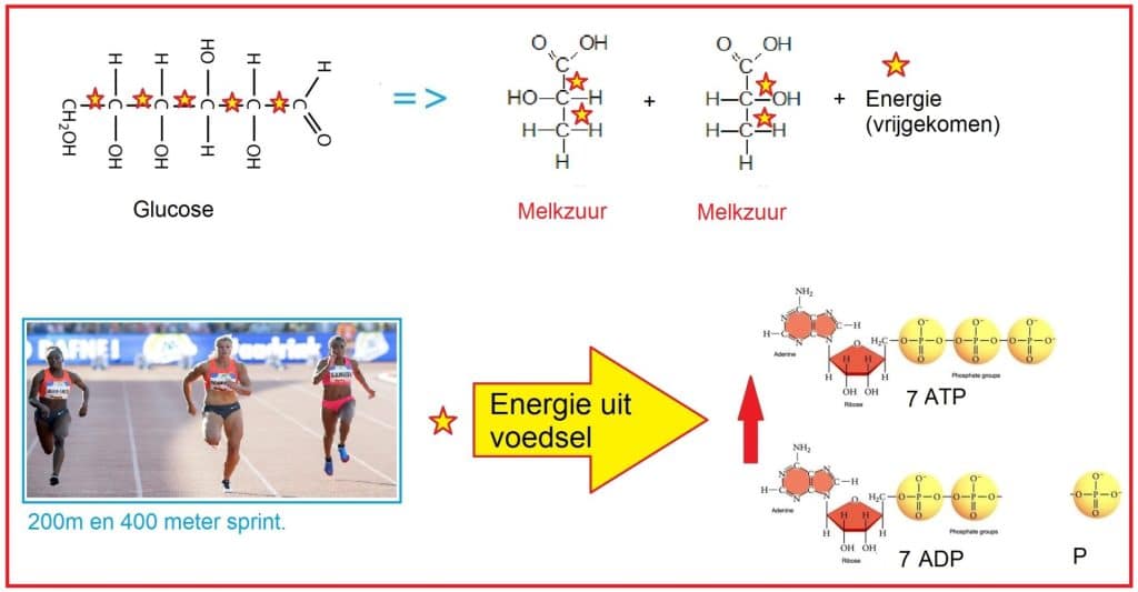 Melkzuur 9 Melkzuur