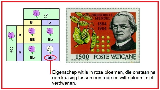 Mendel