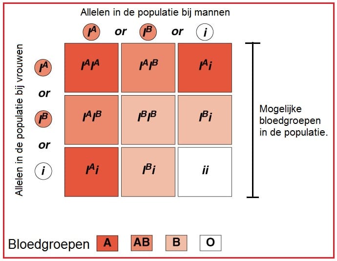 Multipleallelie