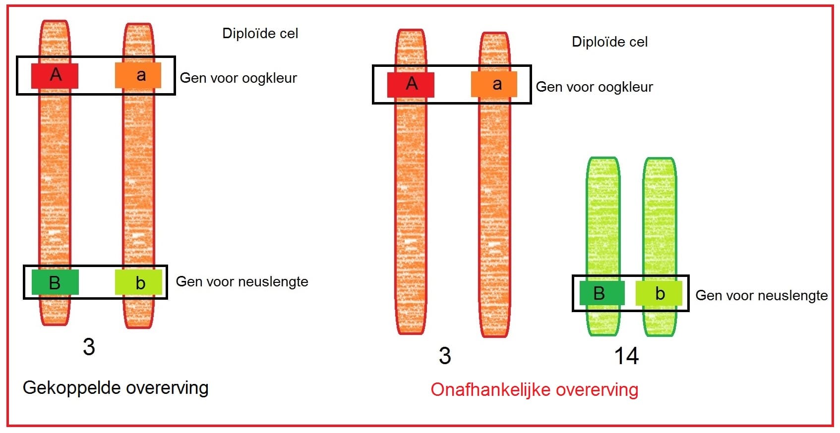 Onafhankelijkeovererving