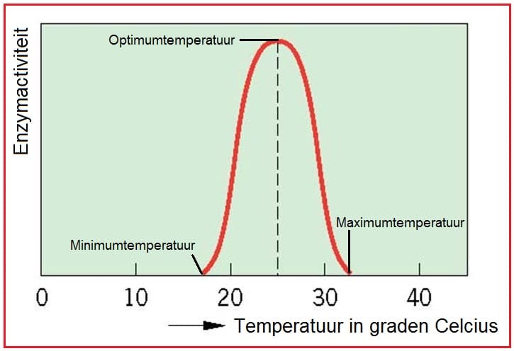 Optimumcurve