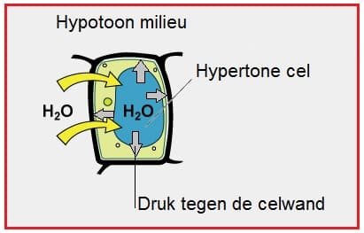 Osmotischedruk