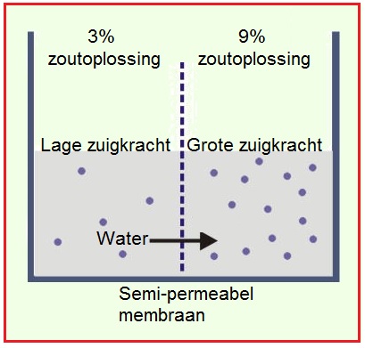 Osmotischewaarde