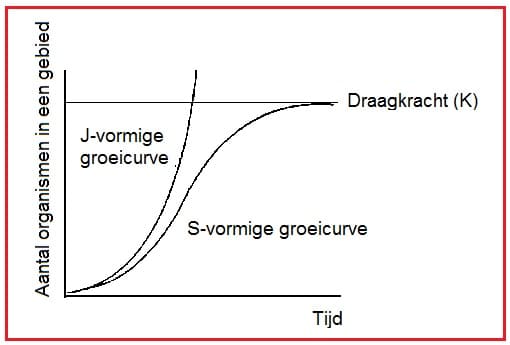 Populatiegroei