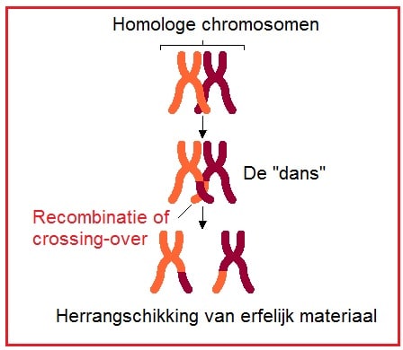 Recombineren