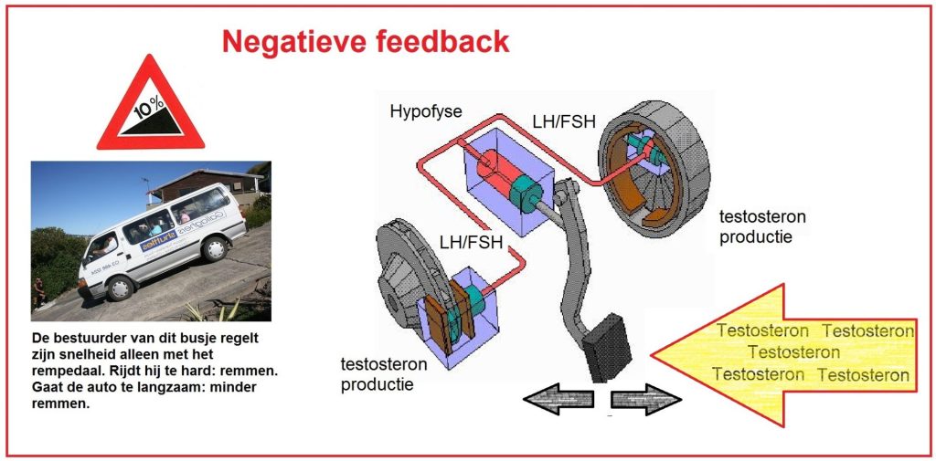 Negatieve terugkoppeling 1 negatieve feedback