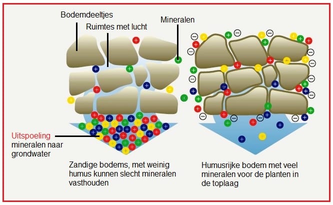 Uitspoeling