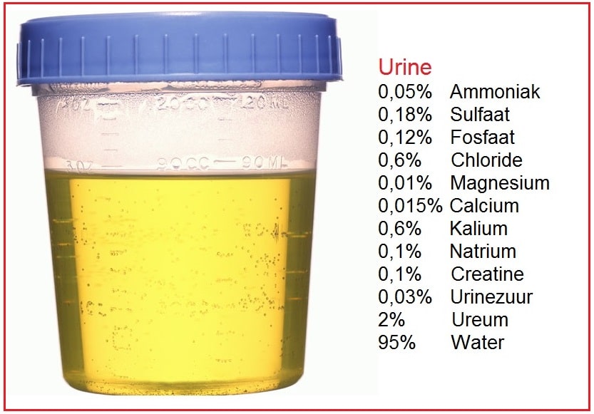 Urine