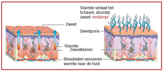 Verdampen