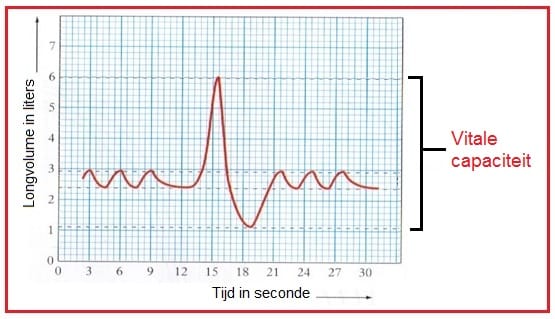 Vitalecapaciteit