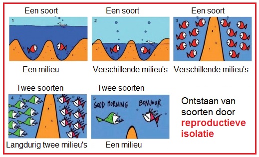 reproductieveisolatie