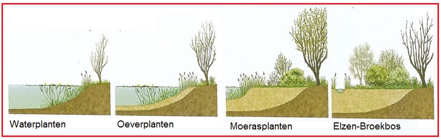 verlanding