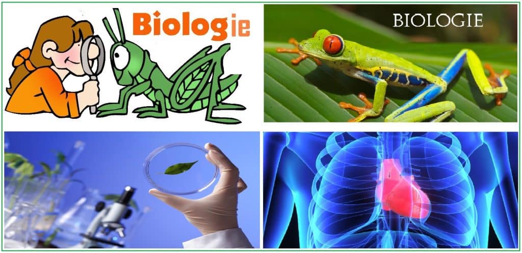Biologie 5 Biologie