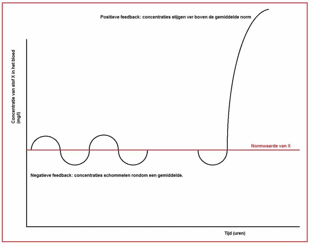 Feedback negatieve (grafisch) 9 PositieveennegatieveFBgrafisch